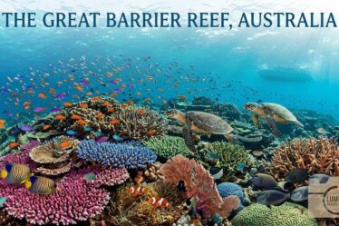 Great Barrier Reef, Australia