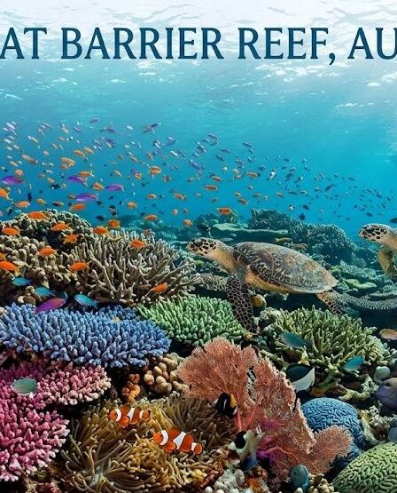 Great Barrier Reef, Australia
