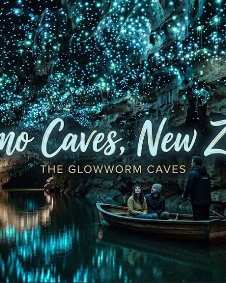 Waitomo Caves, New Zealand – Glowworms